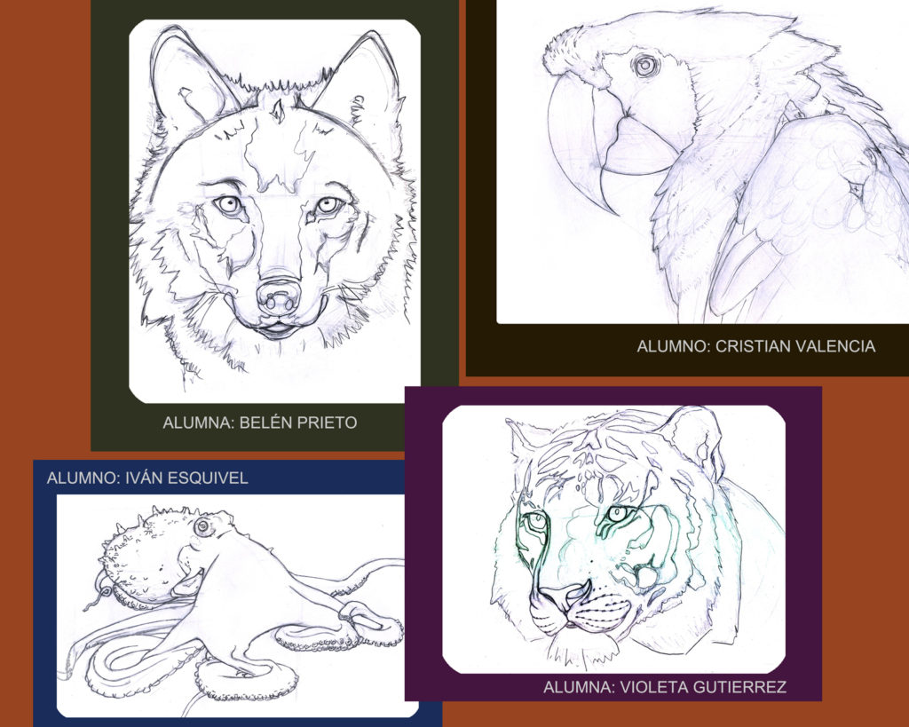 Bocetos animales para Ilustración