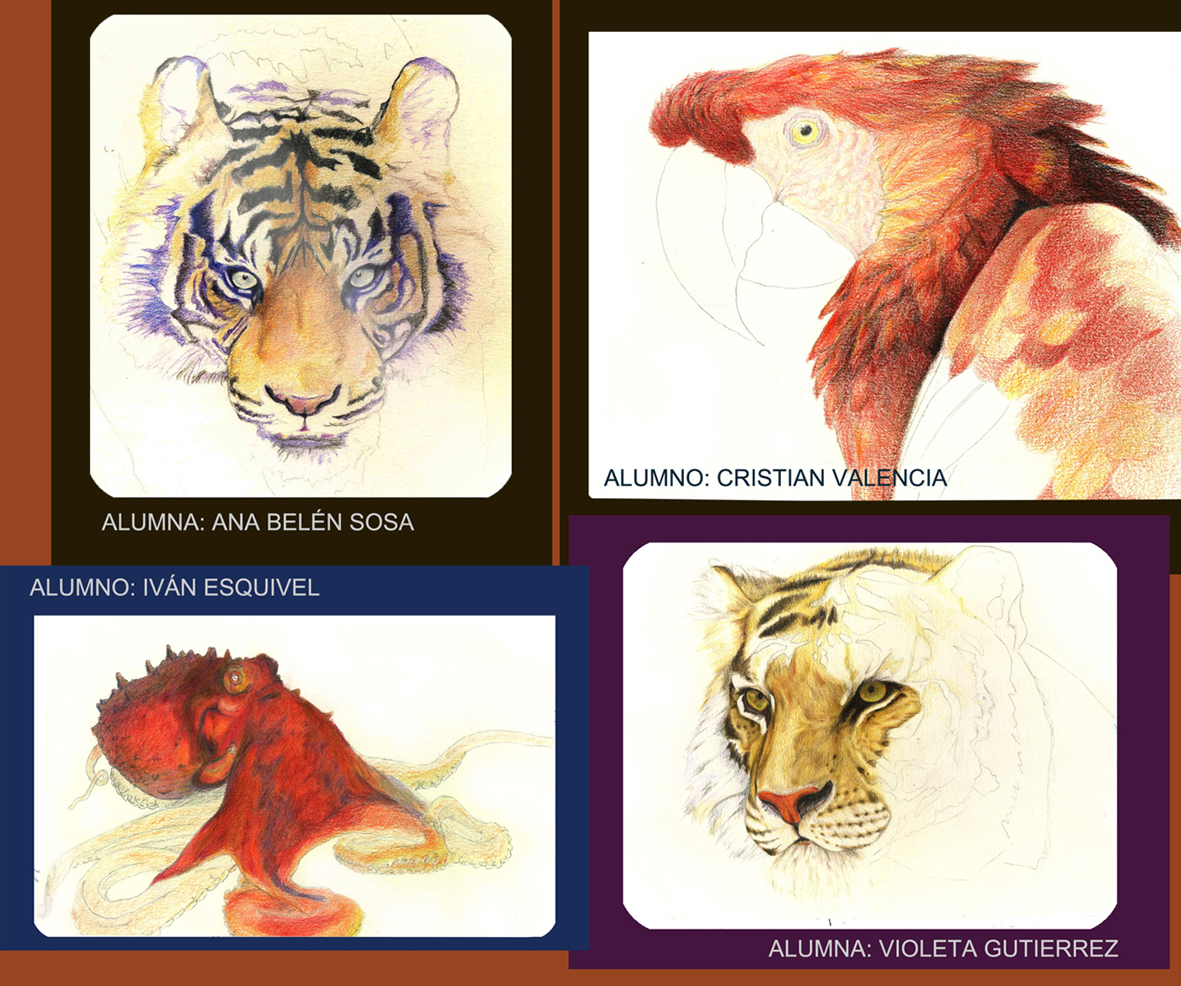 lápiz color animales curso Ilustración